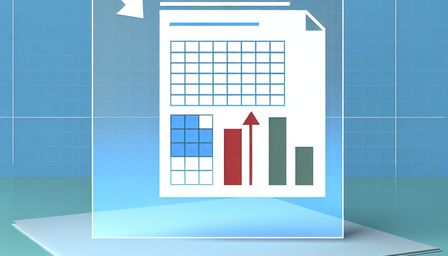 Excel Essentials: Foundations of Data Management and Analysis BAS300